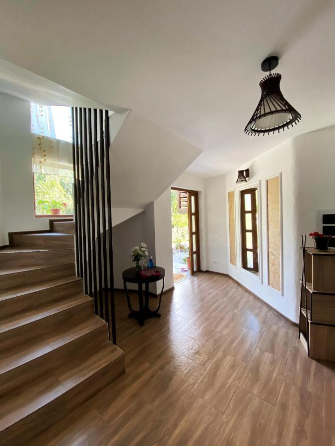Vila Sorina Borşa Exterior foto