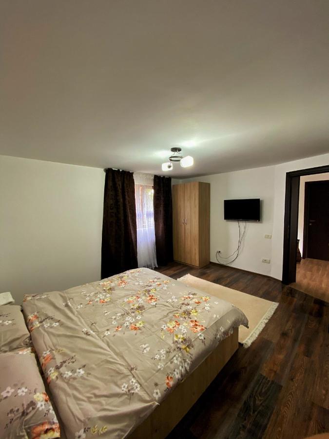 Vila Sorina Borşa Exterior foto