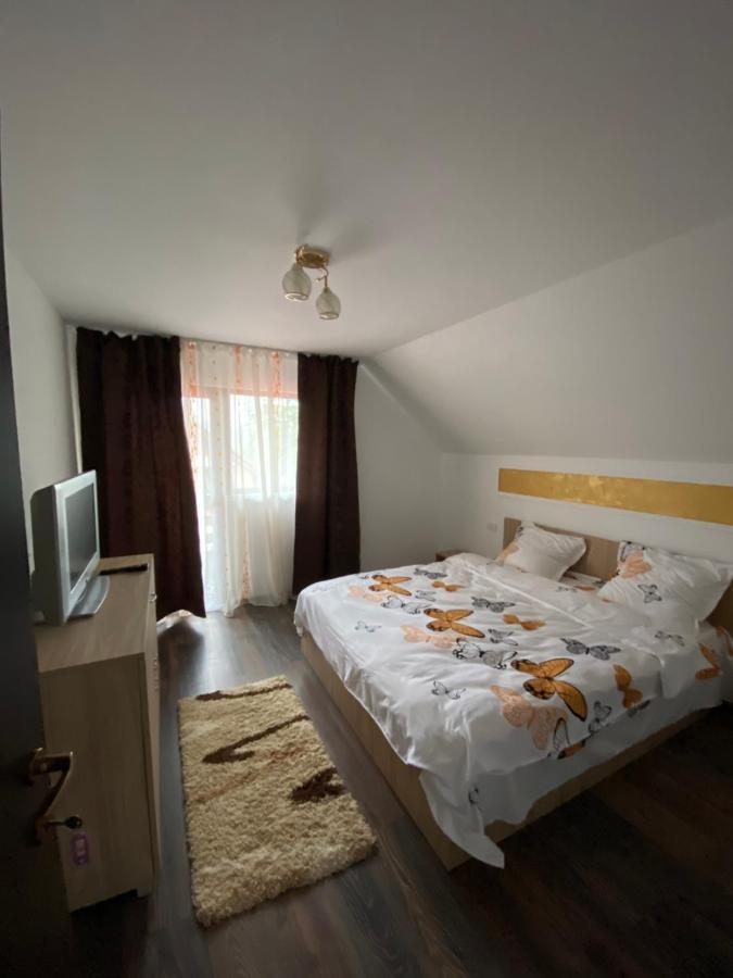 Vila Sorina Borşa Exterior foto