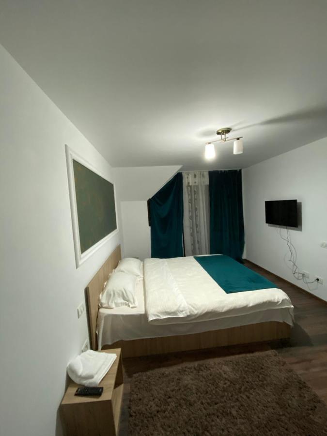 Vila Sorina Borşa Exterior foto