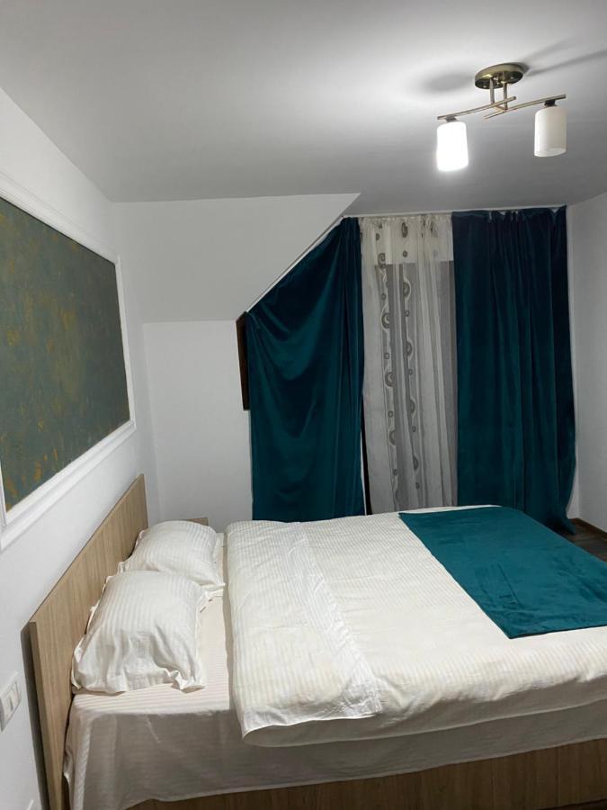 Vila Sorina Borşa Exterior foto