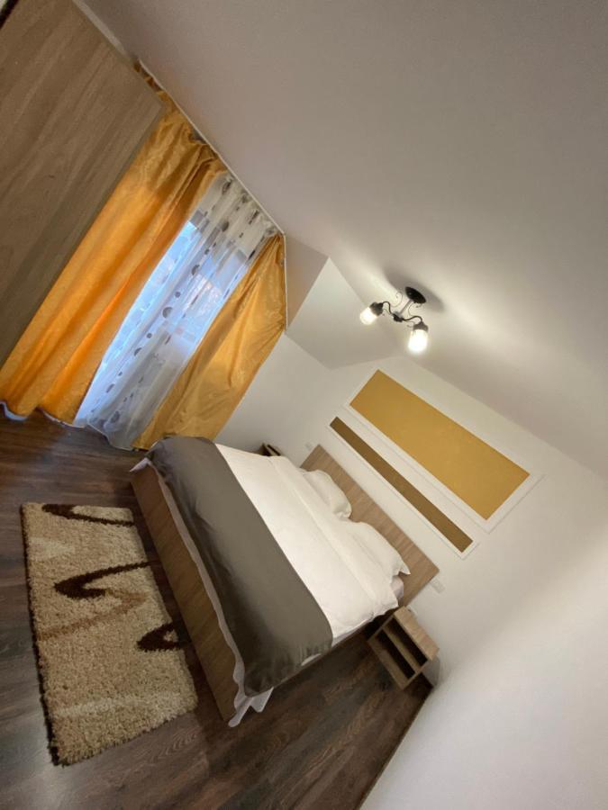 Vila Sorina Borşa Exterior foto