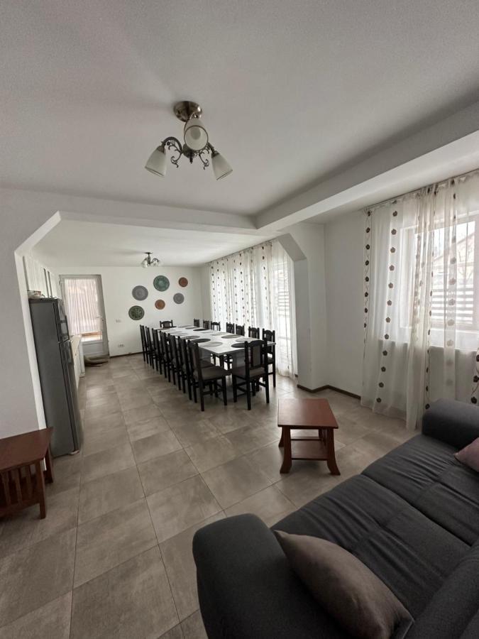 Vila Sorina Borşa Exterior foto